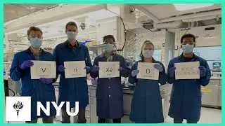 THANK YOU to NYU Employees