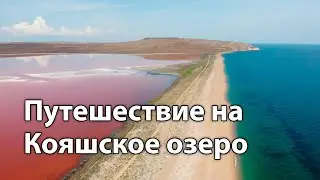 ПРОГУЛКА НА РОЗОВОЕ ОЗЕРО (июнь 2024)