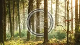 Broj - Revere [Nie Wieder Schlafen]