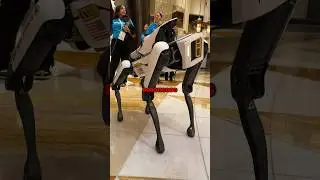 Coolest tech at CES 2024 pt. 2