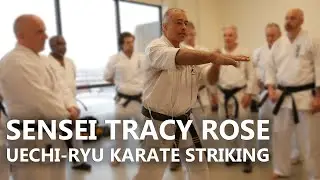 Power Striking for Karate - Tracy Rose Uechi-Ryu Seminar
