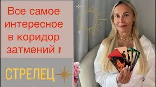СТРЕЛЕЦ ♐️ ПРОГНОЗ НА СЕНТЯБРЬ ОТ ЯНЫ СЧАСТЬЕ ❤️