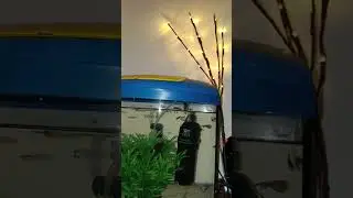 #аквариум #рыба #уют #уютнаяквартира #уютная_атмосфера