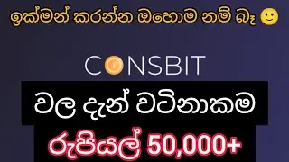 Coinsbit CNG to lkr rs 50000 | Coinsbit cng withdrawal in sinhala | Trading sinhala | crypto sinhala