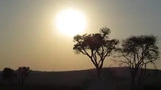 African Chant