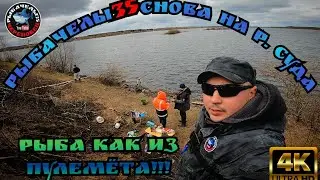 АААГОНЬ рыбалка на фидер на р.Суда в 