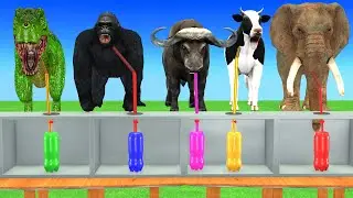 Choose Right Drink with Elephant, Gorilla, Cow, Buffalo, Dinosaur Wild Animals Games 2023