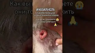 Помогите пожалуйста. 3.09.24.