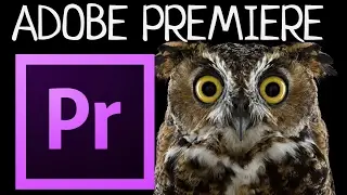 Аудио переходы в Adobe Premiere