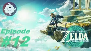Z Plays Zelda TOTK - #12