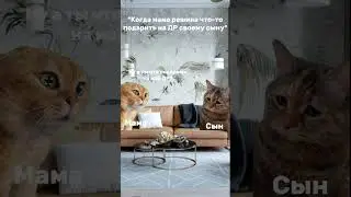 Рил: Подарок сыну на ДР 🎁 #рекомендации #рек #youtubeshorts #shorts #тренды #приколы
