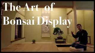 The Art of Bonsai Display - Greenwood Bonsai