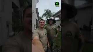 Yard Drain In Action | Plus Sod Install