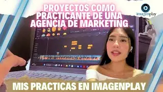 Mi recopilación de Actividades siendo Practicante de una Agencia de Marketing