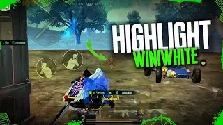 last hl in K11? 🤔 | hl win1white | 120 fps