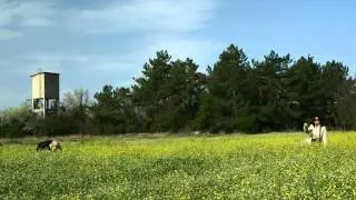 Fotoamele Edirne'de.wmv