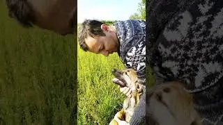 Poslednji pozdrav za Zujku