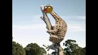 Пол проломил с*ка!
