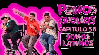 PERROS CRIOLLOS - SOMOS LATINOS, CAP. 56