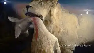 Garden zoo Karachi 2021| Karachi zoo garden boot Bangla | Karachi ka zoo garden