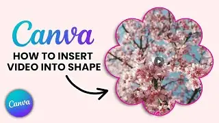 How To Insert a Video Into a Shape in Canva (2024)