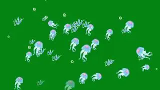 Jelly fishes cartoon effect | Green Screen Library