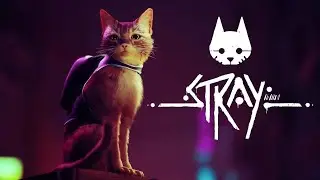 I played STRAY on low end gaming PC Walkthrough Gameplay  (FULL GAME) /No Commentary 