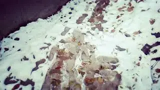 Узбекистонда киш манзаралари