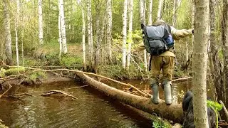На рыбалку на бобровый  ручей. Сетка для отдыха. Дождь.