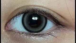 [렌즈미] 글로우벨 그레이 보정 없는 솔직 리뷰 / [LENSME] GLOWBELL GRAY COLOR CONTACT LENS REVIEW