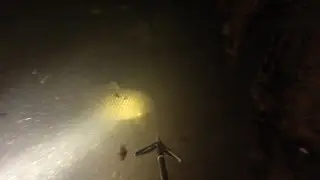 Подводная охота. В темноте под завалом. Разведка боем.