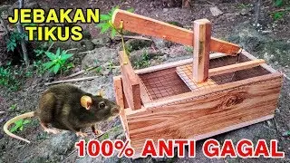 ANTI GAGAL!! CARA MEMBUAT JEBAKAN TIKUS SEDERHANA