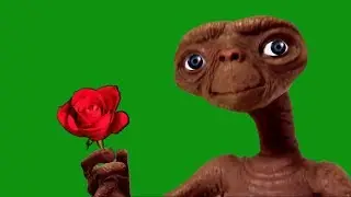 ET with blooming rose Green Screen HD