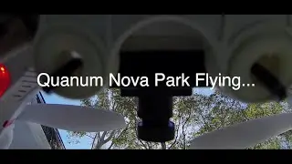 QUANUM NOVA QUADCOPTER IN THE PARK 1080P