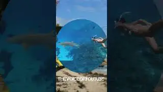 #entertainment #news