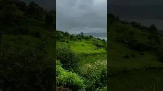 Beauty Of Nature / #shorts /vaishali mukesh