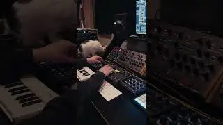 Ambient sequences with CR78 drums