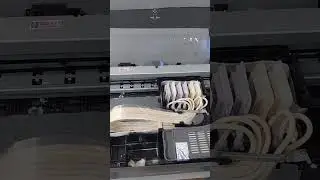Roll Print Pro v2.5 with L18050 DTF load, weak clean, power clean...