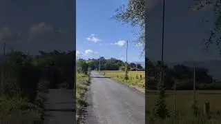 The Nature !!