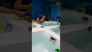 7 ноября 2020 г.