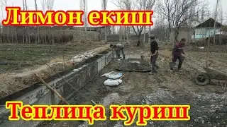 Teplisa qurish. 4.5 sotix teplisa qancha mablag talap qiladi. 04.03.2021