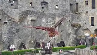 Démonstration de volerie au château de Bouillons lors de la médiévale 2019