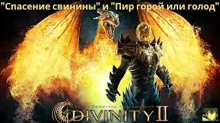 Divinity II: Кровь драконов. Задания 