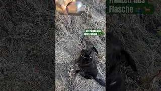 Outdoor trinken Mann und Hund aus einer Flasche 🐕