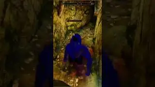 Встречали такого? || Skyrim SE Reflyem       