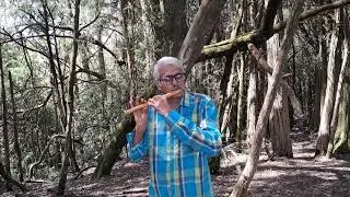 Music in the woods