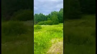 3 июля 2024 г.