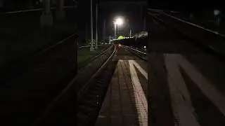 МИНЕРАЛЬНЫЕ ВОДЫ 
