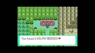 How to get Kelpsy Berry in Pokemon Emerald