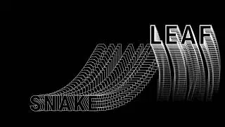 Echo Leaf Text Animation In After Effects | After Effect Echo Effect